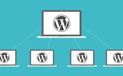 What Is WordPress Multisite?