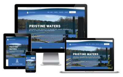 Pristine Waters Website Design
