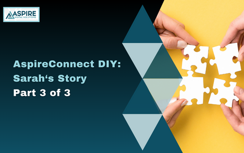 AspireConnect DIY Sarah‘s Story Part 3 of 3 3 – Creating a Winning Combination AspireConnect and Professional Agency Services