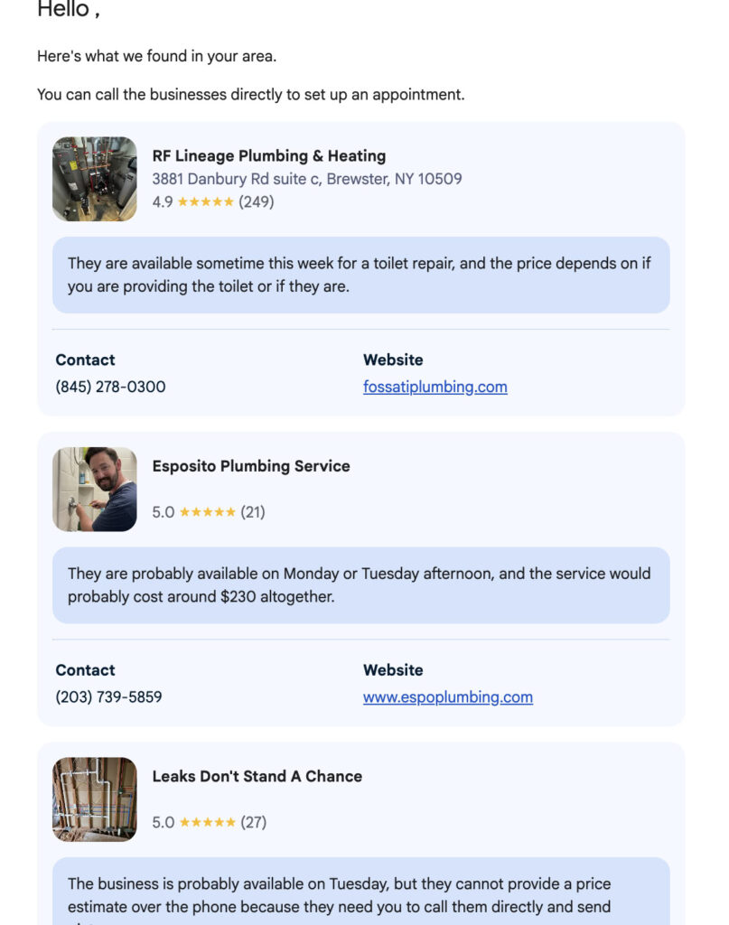 Google AI Pricing Feature And Its Impact On Local Search img 02